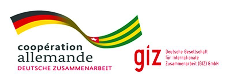 logo GIZ TOGO